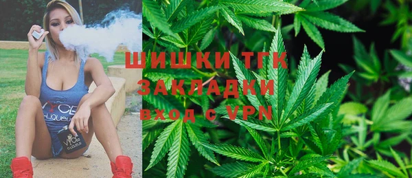 сатива Горнозаводск