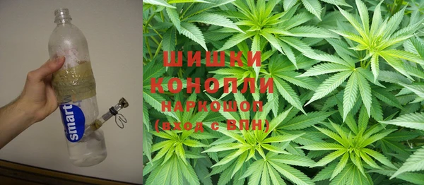 прущие крисы Алзамай