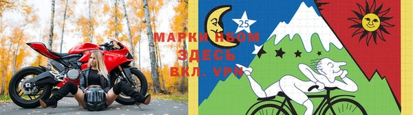 стаф Алексеевка