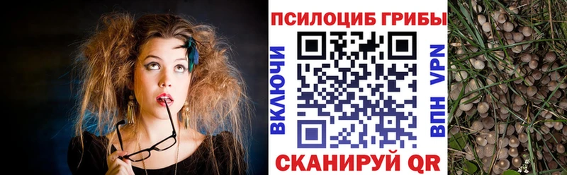Галлюциногенные грибы мухоморы  Гдов 