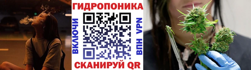 Конопля OG Kush Гдов